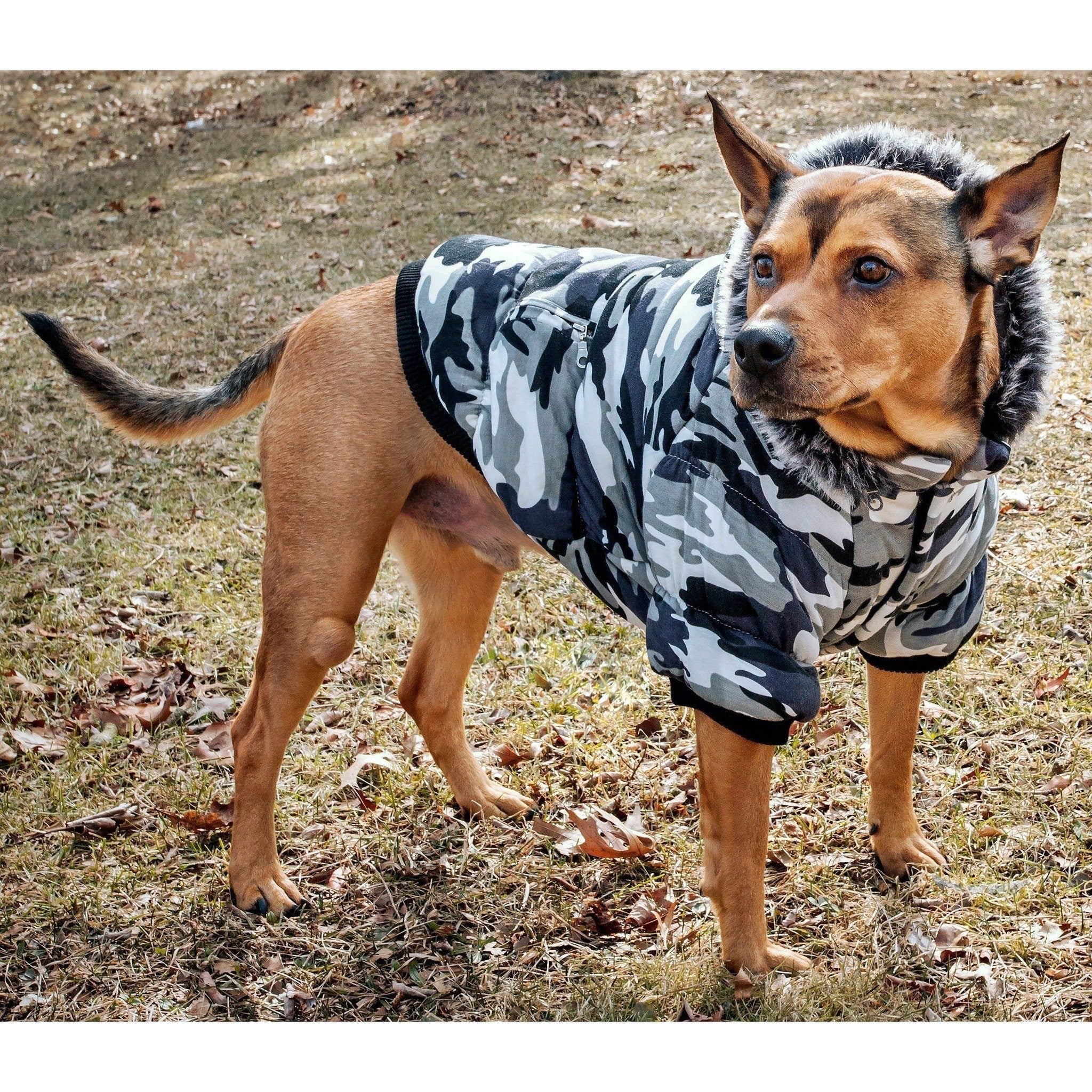 Pet Life ® Classic Metallic Fashion 3M Insulated Dog Coat Parka w/ Removable Hood - BIG FRENCHIES