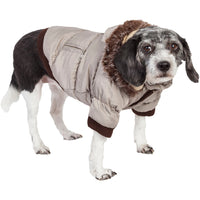 Pet Life ® Classic Metallic Fashion 3M Insulated Dog Coat Parka w/ Removable Hood - BIG FRENCHIES