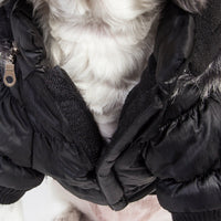 Pet Life ® Classic Metallic Fashion 3M Insulated Dog Coat Parka w/ Removable Hood - BIG FRENCHIES