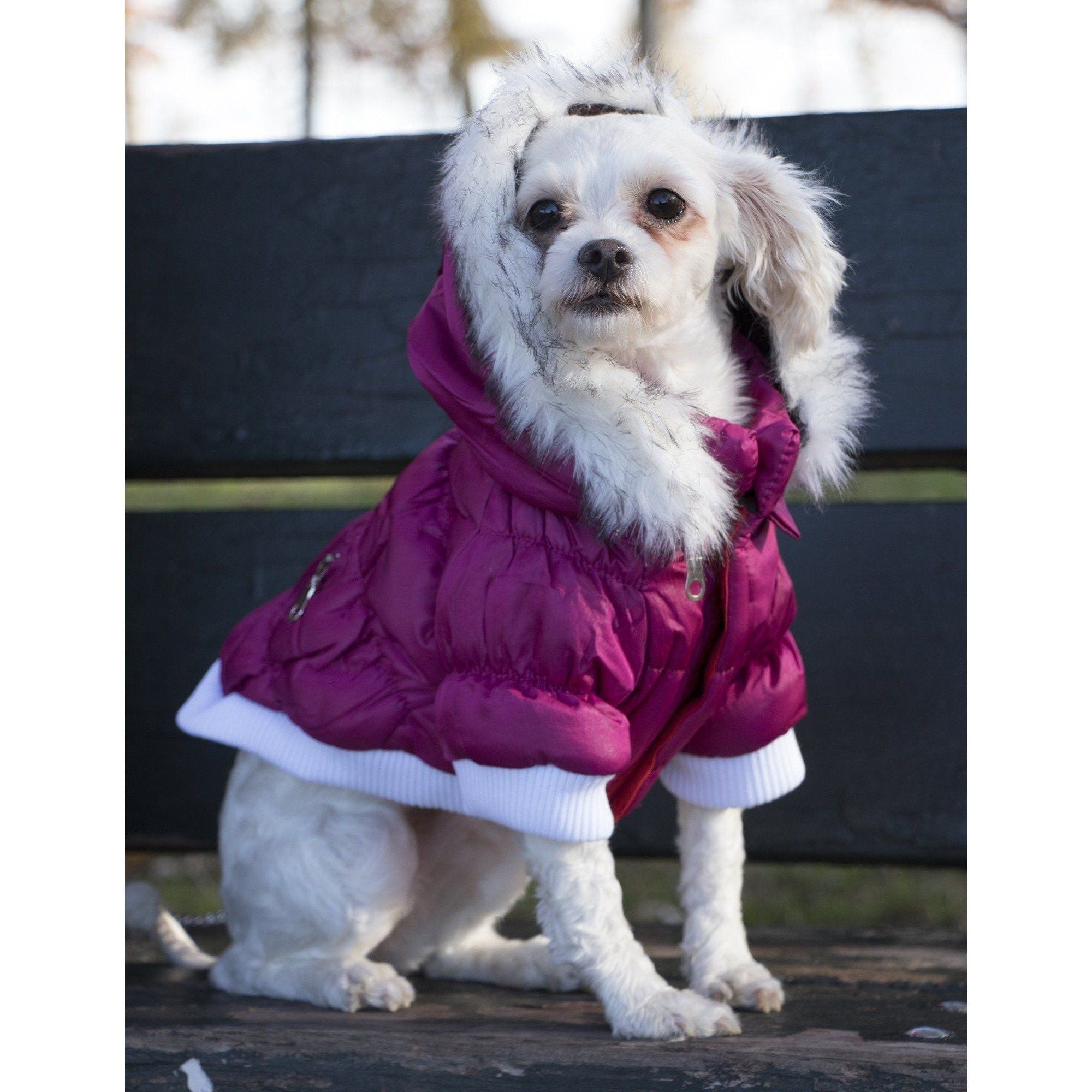 Pet Life ® Classic Metallic Fashion 3M Insulated Dog Coat Parka w/ Removable Hood - BIG FRENCHIES