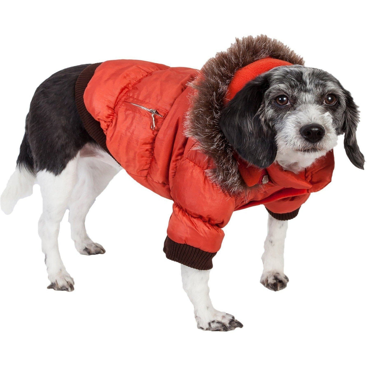 Pet Life ® Classic Metallic Fashion 3M Insulated Dog Coat Parka w/ Removable Hood - BIG FRENCHIES