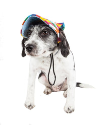 Pet Life ® 'Colorfur' Floral UV Protectant Adjustable Fashion Dog Hat Cap - BIG FRENCHIES