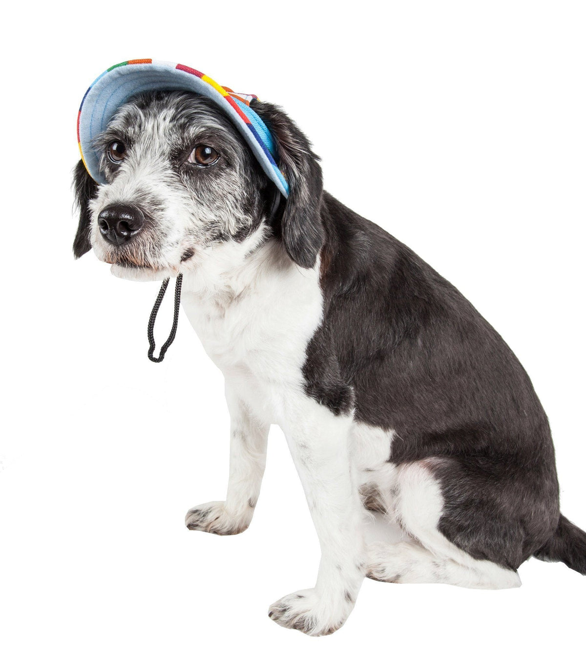 Pet Life ® 'Colorfur' UV Protectant Adjustable Fashion Canopy Brimmed Dog Hat Cap - BIG FRENCHIES
