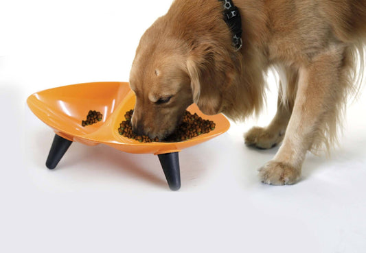 Pet Life ® 'Couture Sculptured' Dishwasher Safe Melamine Food and Water Double Pet Bowl - BIG FRENCHIES