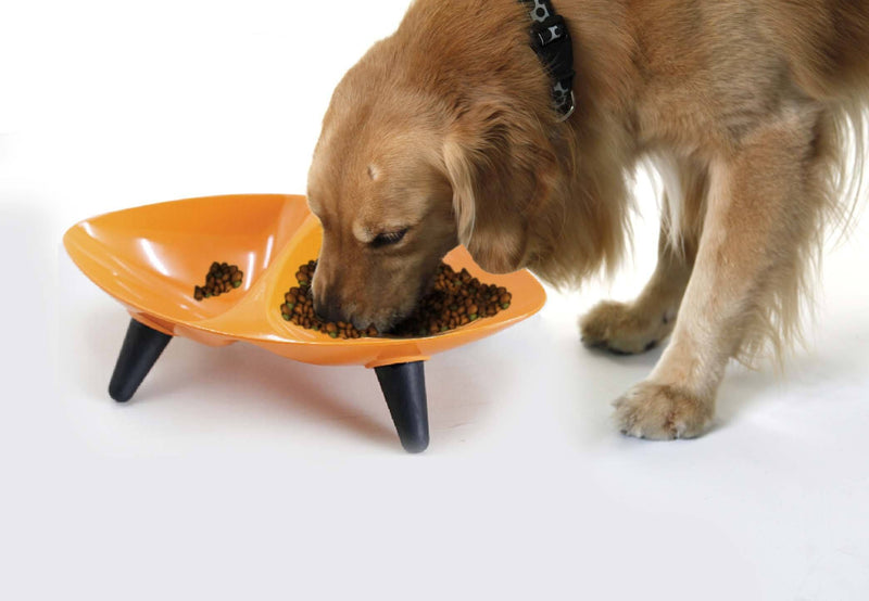 Pet Life ® 'Couture Sculptured' Dishwasher Safe Melamine Food and Water Double Pet Bowl - BIG FRENCHIES