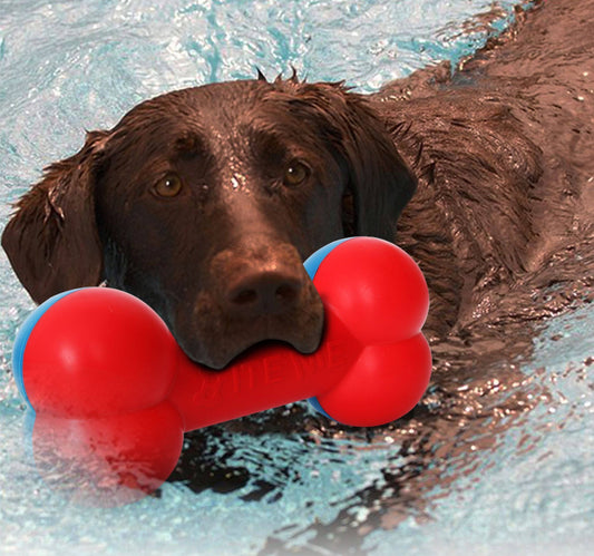 Pet Life ® 'Denta-Bone' TPR Durable Waterproof Floating Dog Toy - BIG FRENCHIES