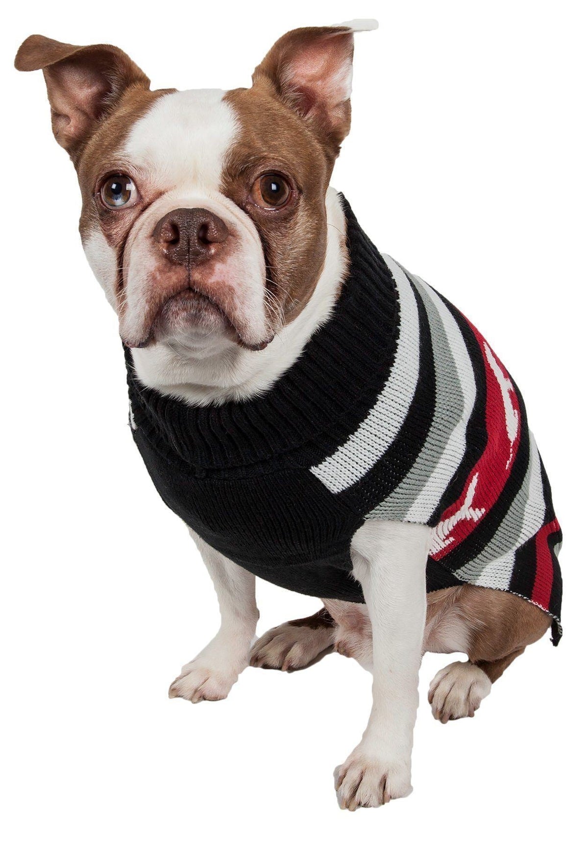 Pet Life ® Dog Patterned Fashion Striped Ribbed Turtle Neck Dog Sweater - BIG FRENCHIES