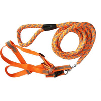Pet Life ® 'Easy Tension' Reflective Stitched Adjustable 2-in-1 Pet Dog Leash and Harness - BIG FRENCHIES