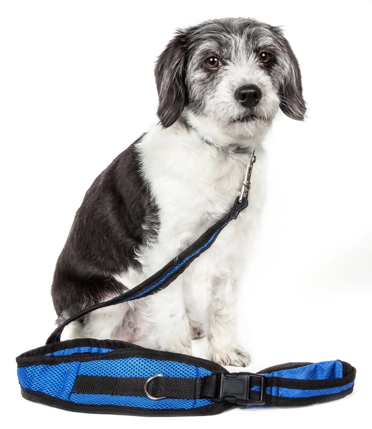 Pet Life ® 'Echelon' Hands Free and Convertible 2-In-1 Training Pet Dog Leash and Pet Belt Trainer - BIG FRENCHIES