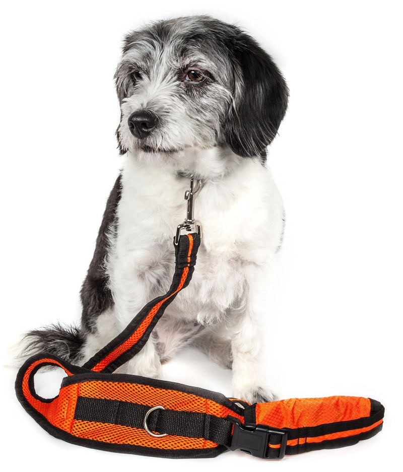 Pet Life ® 'Echelon' Hands Free and Convertible 2-In-1 Training Pet Dog Leash and Pet Belt Trainer - BIG FRENCHIES