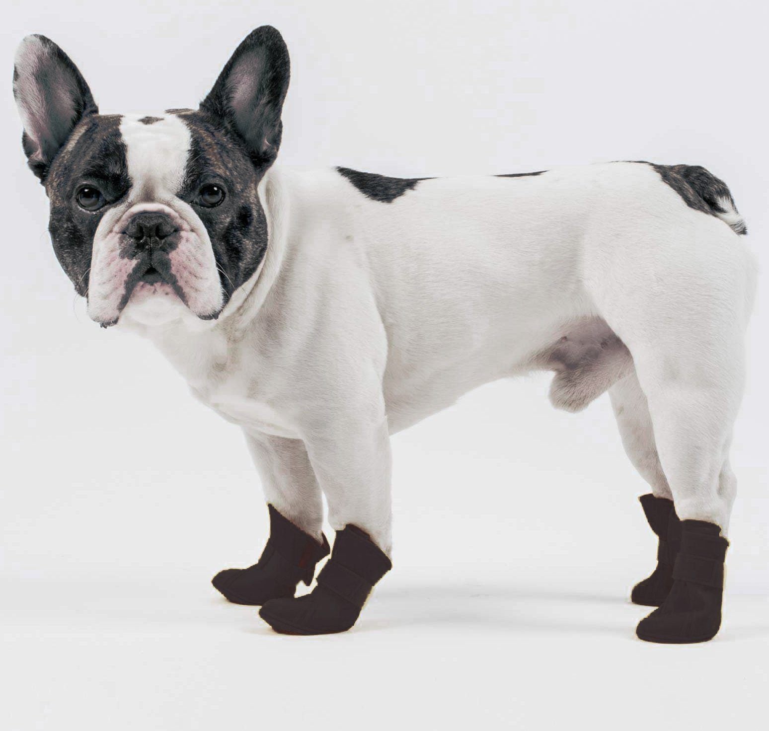 Pet Life ® Elastic Protective Multi-Usage All-Terrain Rubberized Dog Shoes - Set of 4 - BIG FRENCHIES