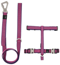 Pet Life ® 'Escapade' Outdoor Series 2-in-1 Convertible Dog Leash and Harness - BIG FRENCHIES