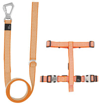 Pet Life ® 'Escapade' Outdoor Series 2-in-1 Convertible Dog Leash and Harness - BIG FRENCHIES