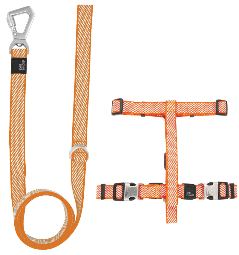Pet Life ® 'Escapade' Outdoor Series 2-in-1 Convertible Dog Leash and Harness - BIG FRENCHIES