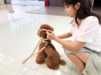 Pet Life ® 'Ever-Craft' Boutique Series Beechwood and Leather Designer Dog Leash - BIG FRENCHIES