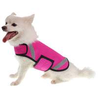 Pet Life ® 'Extreme Neoprene' Multi-Purpose Protective and Reflective Rash Guard Dog Coat - BIG FRENCHIES