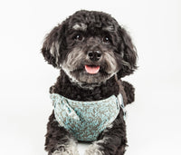 Pet Life ® 'Fidomite' Mesh Reversed and Adjustable Fashion Dog Harness W/ Designer Bowtie - BIG FRENCHIES