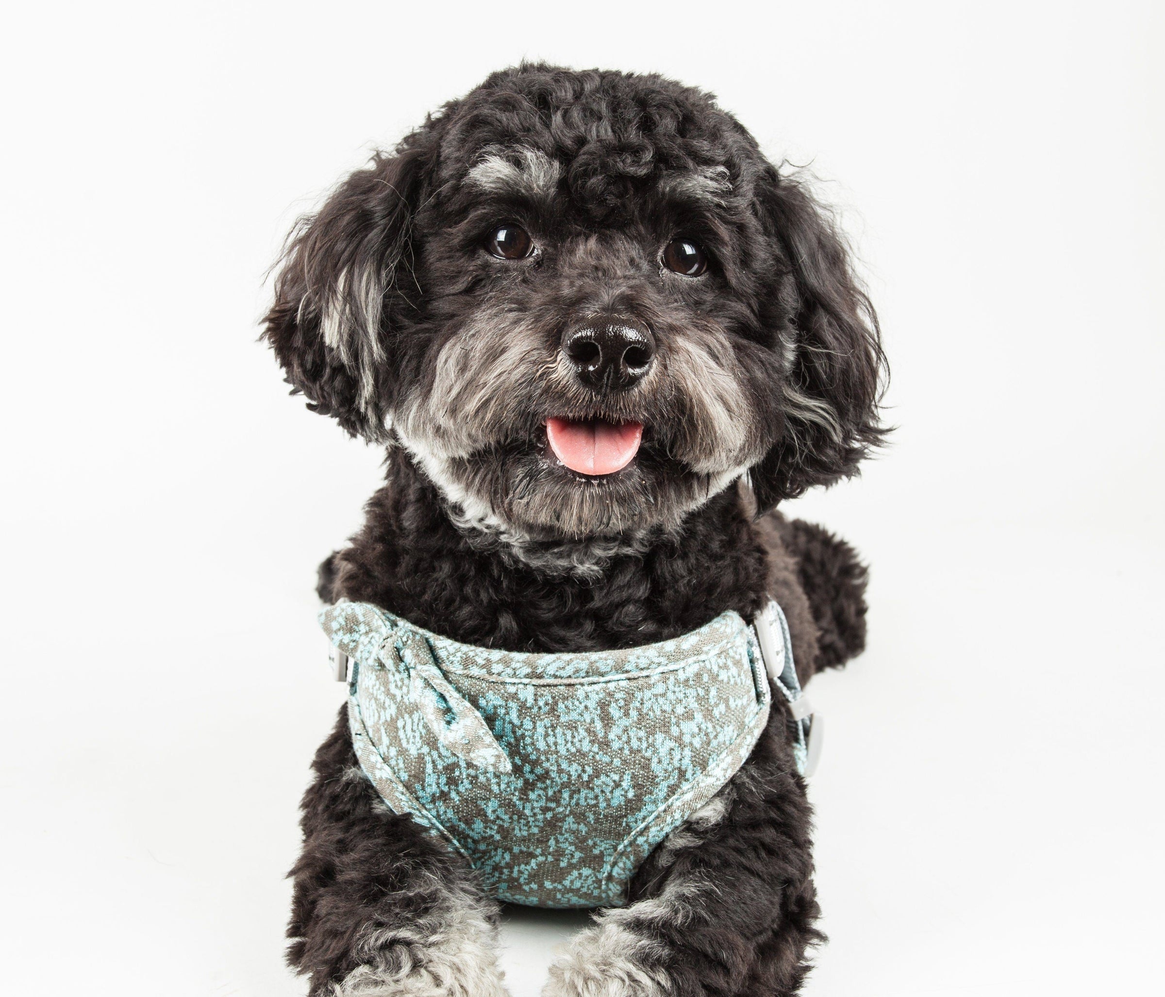 Pet Life ® 'Fidomite' Mesh Reversed and Adjustable Fashion Dog Harness W/ Designer Bowtie - BIG FRENCHIES