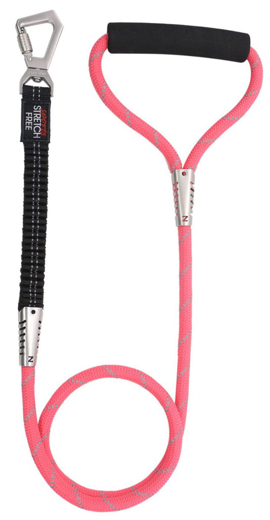 Pet Life ® 'Flexo-Tour' Shock Aborbing and 3M Reflective Dog Leash - BIG FRENCHIES
