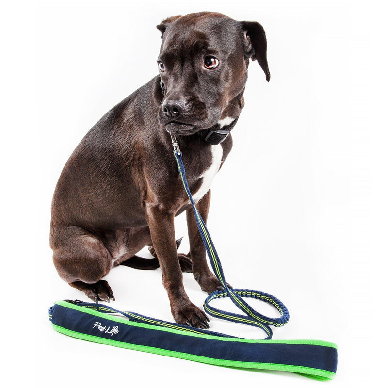 Pet Life ® 'Free-Fetcher' Hands Free Over-The-Shoulder Shock Absorbent Dog Leash - BIG FRENCHIES