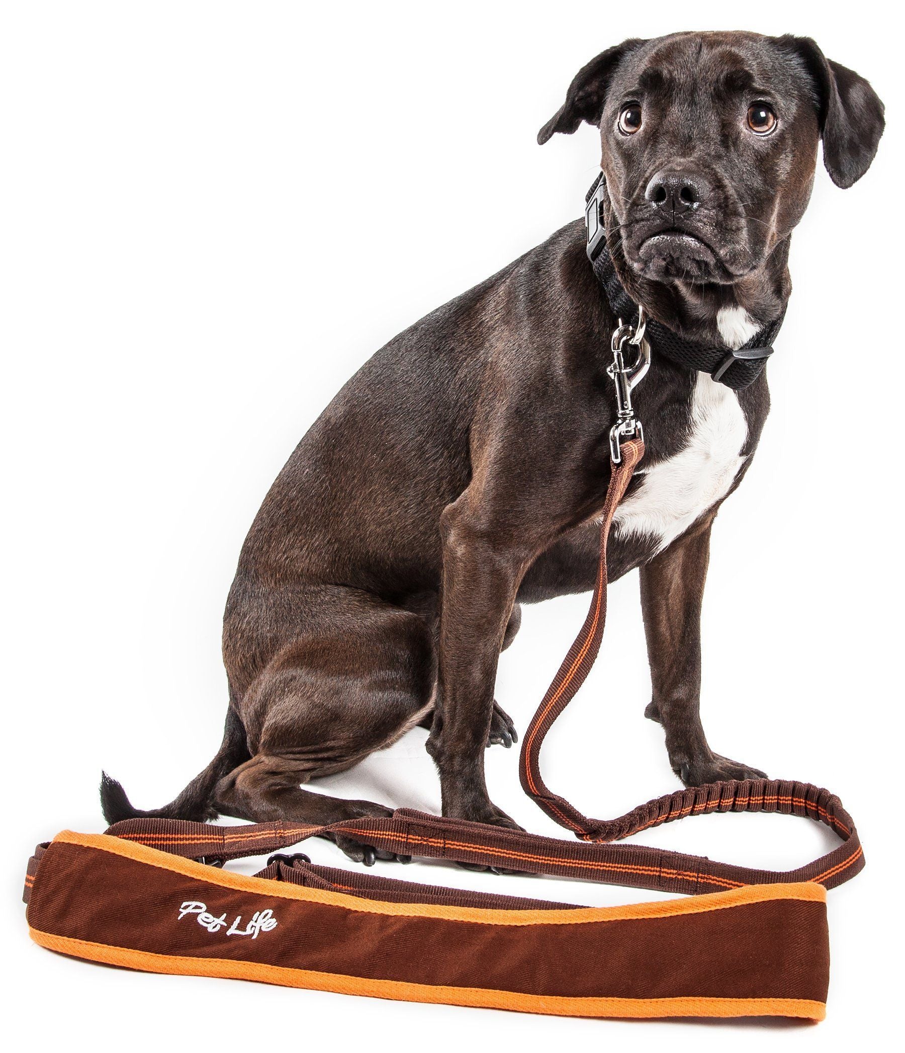 Pet Life ® 'Free-Fetcher' Hands Free Over-The-Shoulder Shock Absorbent Dog Leash - BIG FRENCHIES
