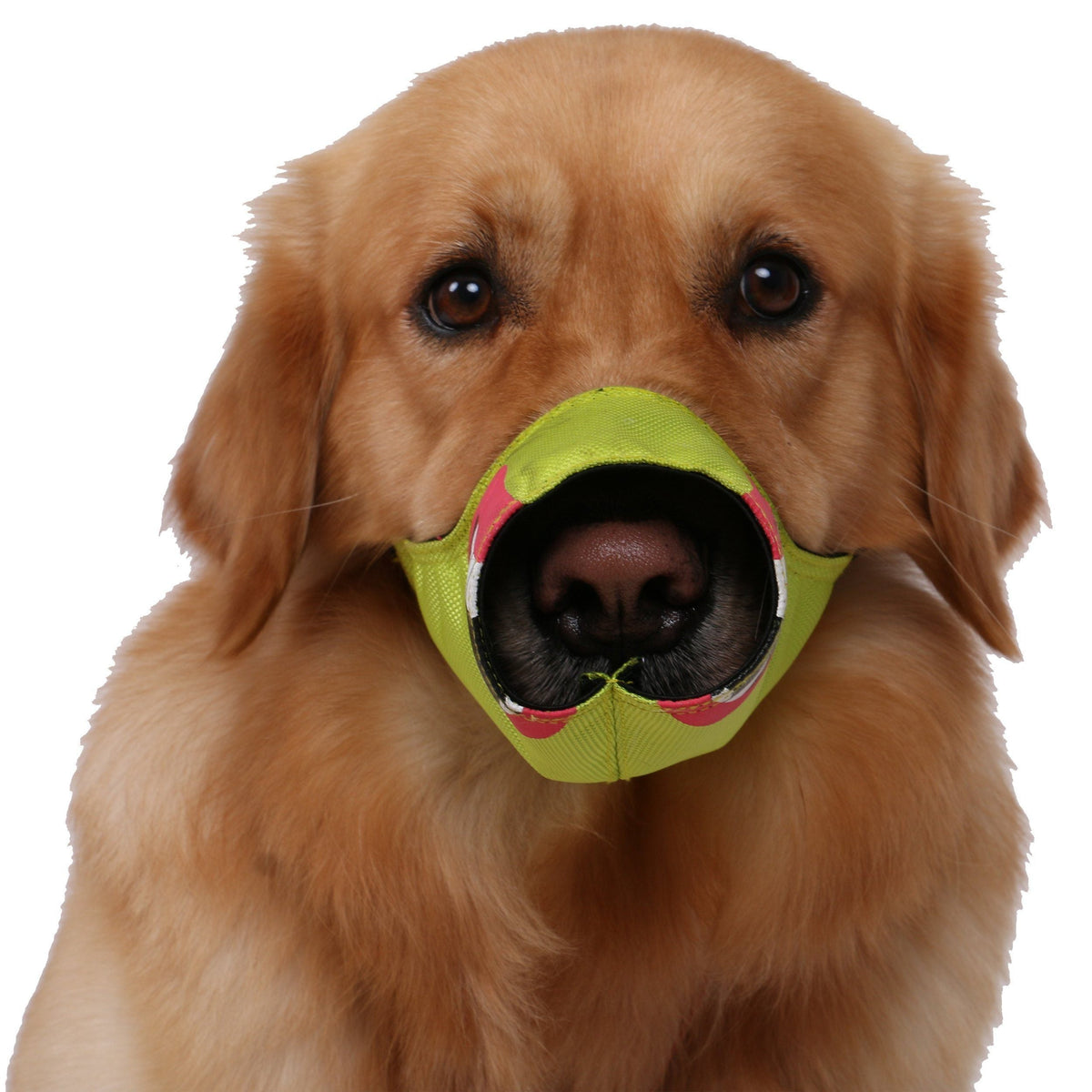 Pet Life ® 'Funimation' Animated Nylon Mesh Protective Travel Anti-Bark Dog Muzzle - BIG FRENCHIES