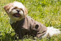 Pet Life ® 'Galore Back-Buckled' Fashion Wool Dog Jacket Coat - BIG FRENCHIES