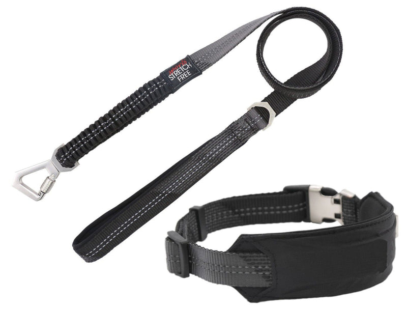 Pet Life ® 'Geo-prene' 2-in-1 Shock Absorbing Neoprene Padded Reflective Dog Leash and Collar - BIG FRENCHIES