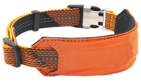 Pet Life ® 'Geo-prene' 2-in-1 Shock Absorbing Neoprene Padded Reflective Dog Leash and Collar - BIG FRENCHIES
