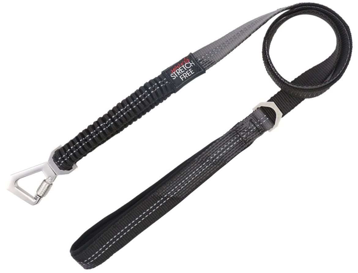 Pet Life ® 'Geo-prene' 2-in-1 Shock Absorbing Neoprene Padded Reflective Dog Leash and Collar - BIG FRENCHIES