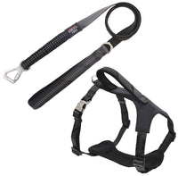 Pet Life ® 'Geo-prene' 2-in-1 Shock Absorbing Neoprene Padded Reflective Dog Leash and Harness - BIG FRENCHIES