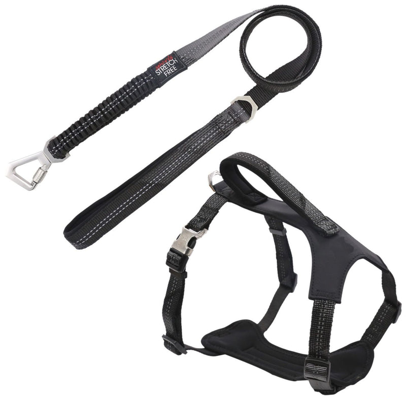 Pet Life ® 'Geo-prene' 2-in-1 Shock Absorbing Neoprene Padded Reflective Dog Leash and Harness - BIG FRENCHIES