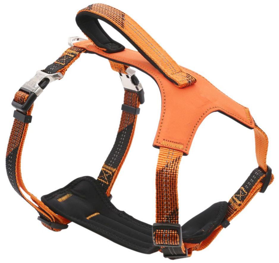 Pet Life ® 'Geo-prene' 2-in-1 Shock Absorbing Neoprene Padded Reflective Dog Leash and Harness - BIG FRENCHIES