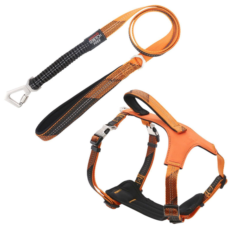 Pet Life ® 'Geo-prene' 2-in-1 Shock Absorbing Neoprene Padded Reflective Dog Leash and Harness - BIG FRENCHIES