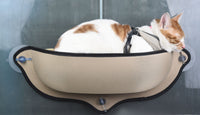 Pet Life ® 'Gravity-Lounge' Suction Cup Kitty Cat Lounger and Bed - BIG FRENCHIES