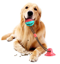 Pet Life ® 'Grip N' Play' Treat Dispensing Ball Shaped Suction Cup Dog Toy - BIG FRENCHIES