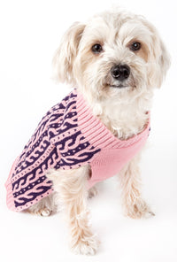 Pet Life ® 'Harmonious' Dual Color Weaved Heavy Cable Knitted Fashion Designer Dog Sweater - BIG FRENCHIES