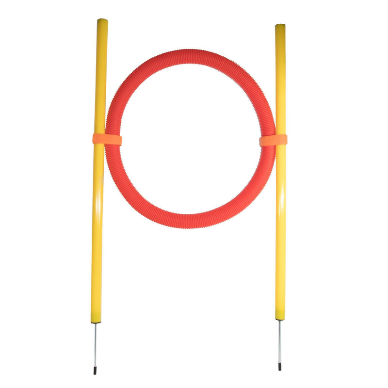 Pet Life ® 'Hoop Hopper' Collapsible Travel Folding Outdoor Performance Agility Pet Dog Trainer Training Kit - BIG FRENCHIES