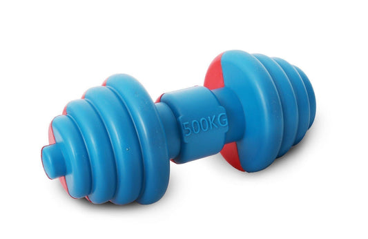 Pet Life ® 'Iron Wag' Durable Chew and Fetch TPR Waterproof Floating Dog Toy - BIG FRENCHIES