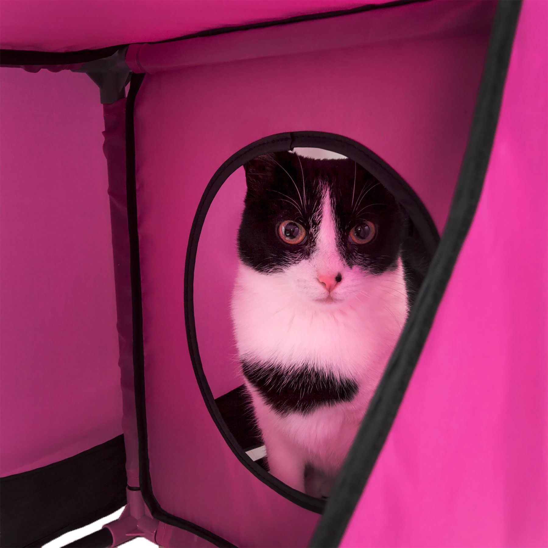 Pet Life ® 'Kitty-Play' Collapsible Travel Interactive Kitty Cat Tree Maze House Lounger Tunnel Lounge - BIG FRENCHIES