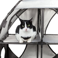 Pet Life ® 'Kitty-Play' Collapsible Travel Interactive Kitty Cat Tree Maze House Lounger Tunnel Lounge - BIG FRENCHIES