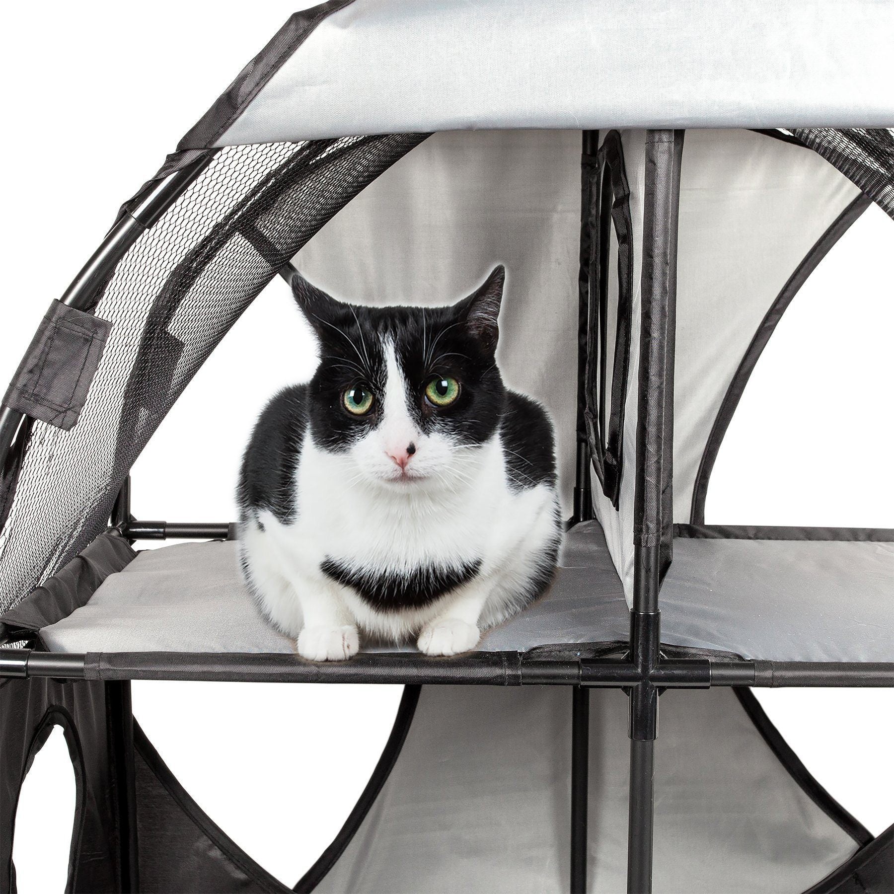Pet Life ® 'Kitty-Play' Collapsible Travel Interactive Kitty Cat Tree Maze House Lounger Tunnel Lounge - BIG FRENCHIES