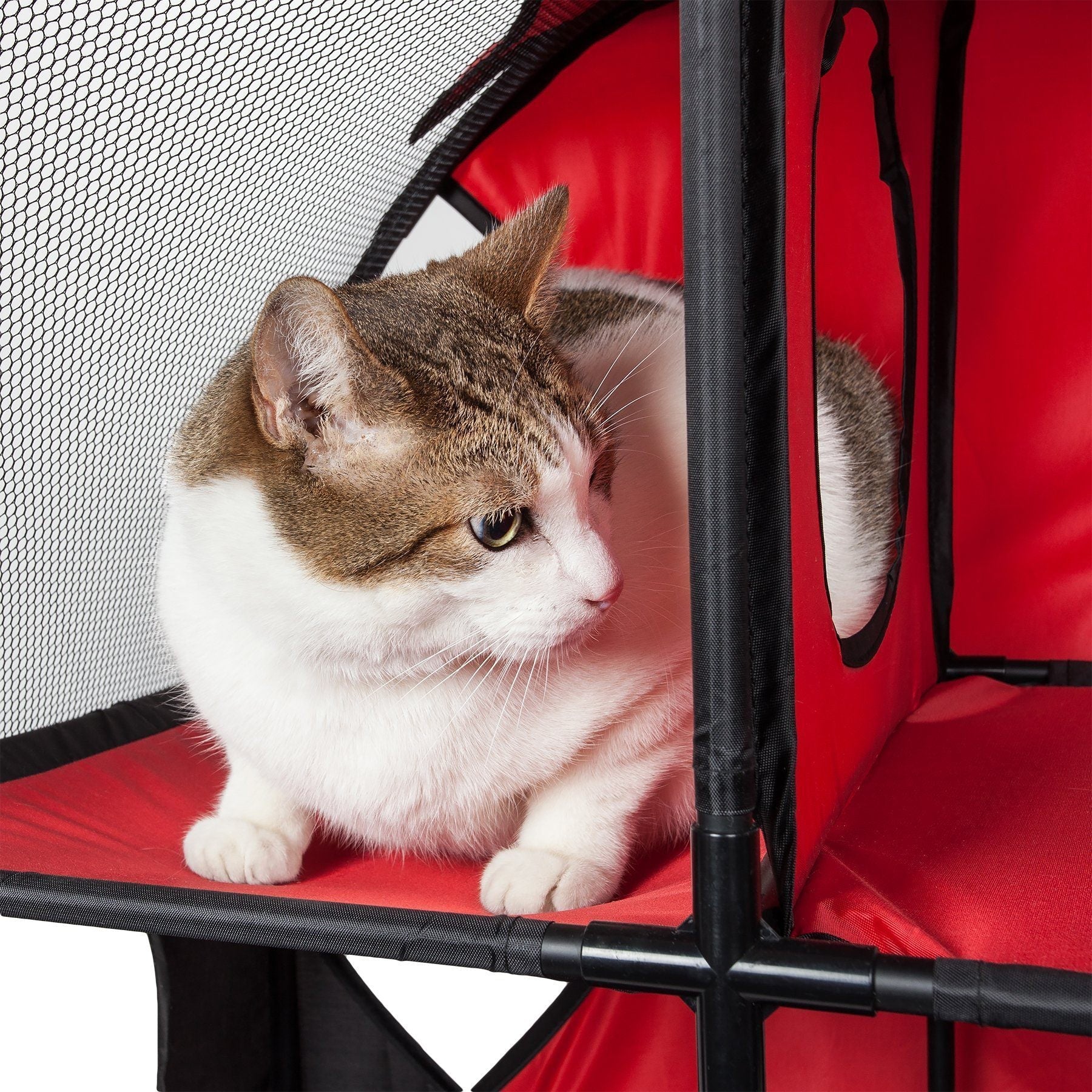 Pet Life ® 'Kitty-Play' Collapsible Travel Interactive Kitty Cat Tree Maze House Lounger Tunnel Lounge - BIG FRENCHIES
