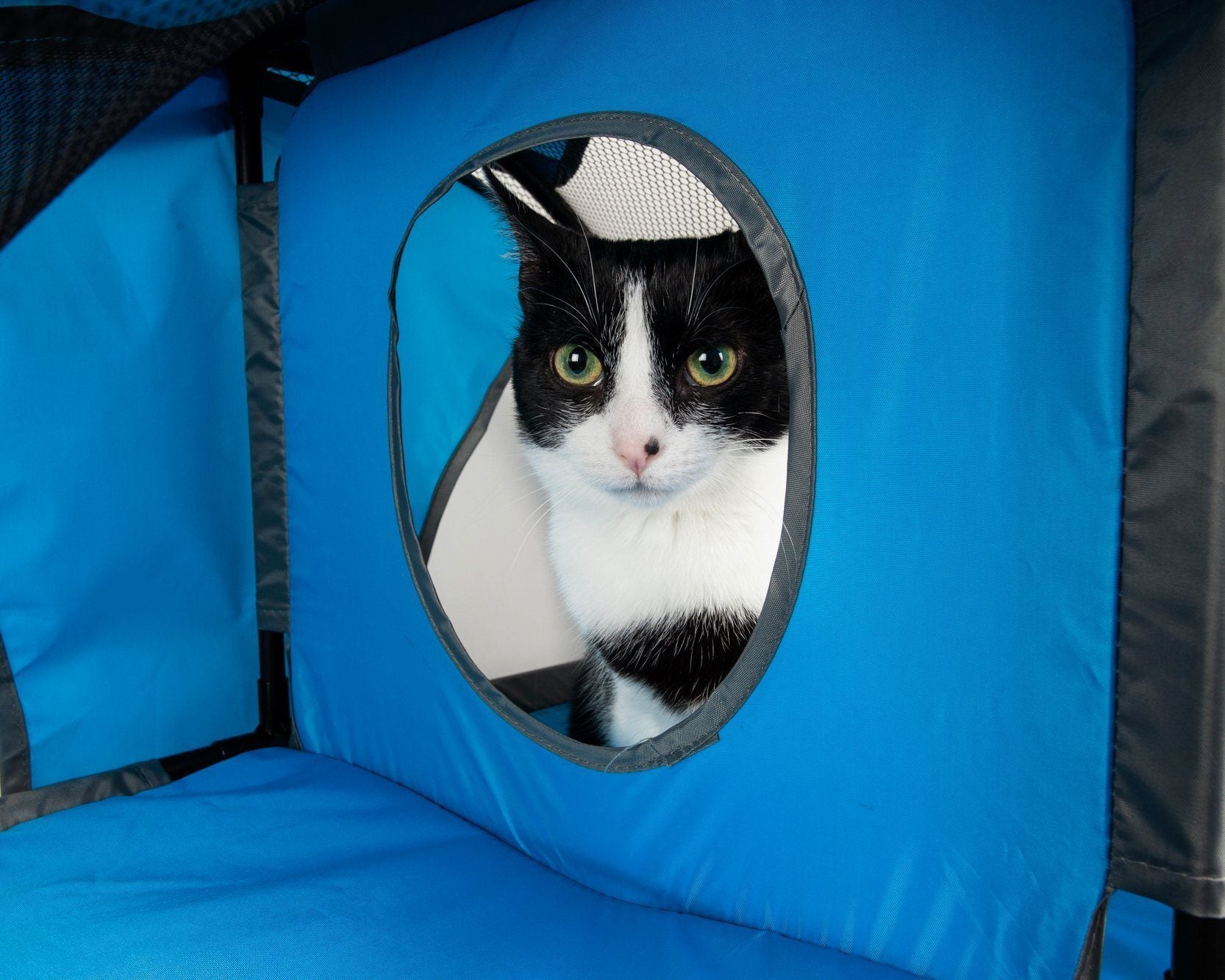 Pet Life ® 'Kitty-Play' Collapsible Travel Interactive Kitty Cat Tree Maze House Lounger Tunnel Lounge - BIG FRENCHIES