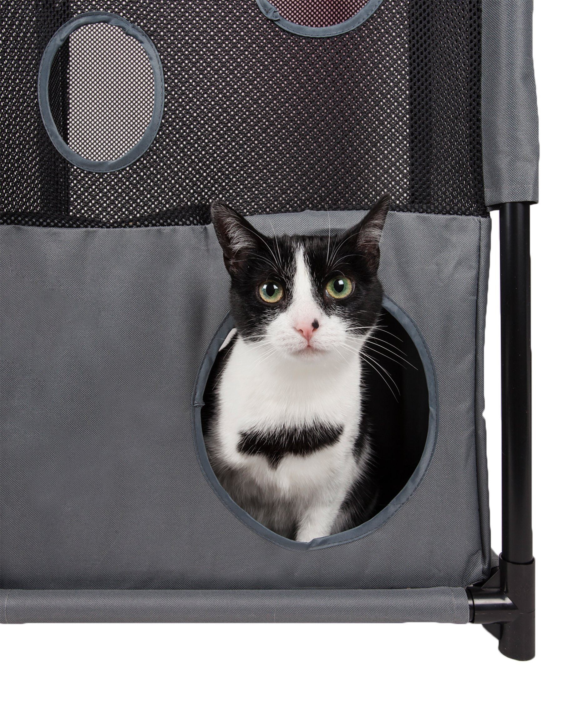 Pet Life ® 'Kitty-Square' Collapsible Travel Interactive Kitty Cat Tree Maze House Lounger Tunnel Lounge - BIG FRENCHIES