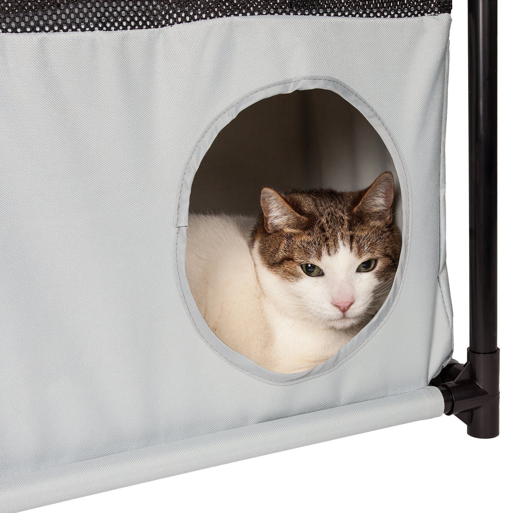 Pet Life ® 'Kitty-Square' Collapsible Travel Interactive Kitty Cat Tree Maze House Lounger Tunnel Lounge - BIG FRENCHIES