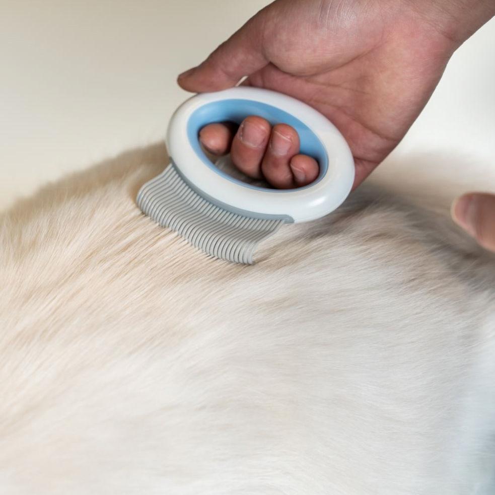 Pet Life ® 'Knuckler' Handheld Travel Flexible Grooming Pet Rake Comb - BIG FRENCHIES