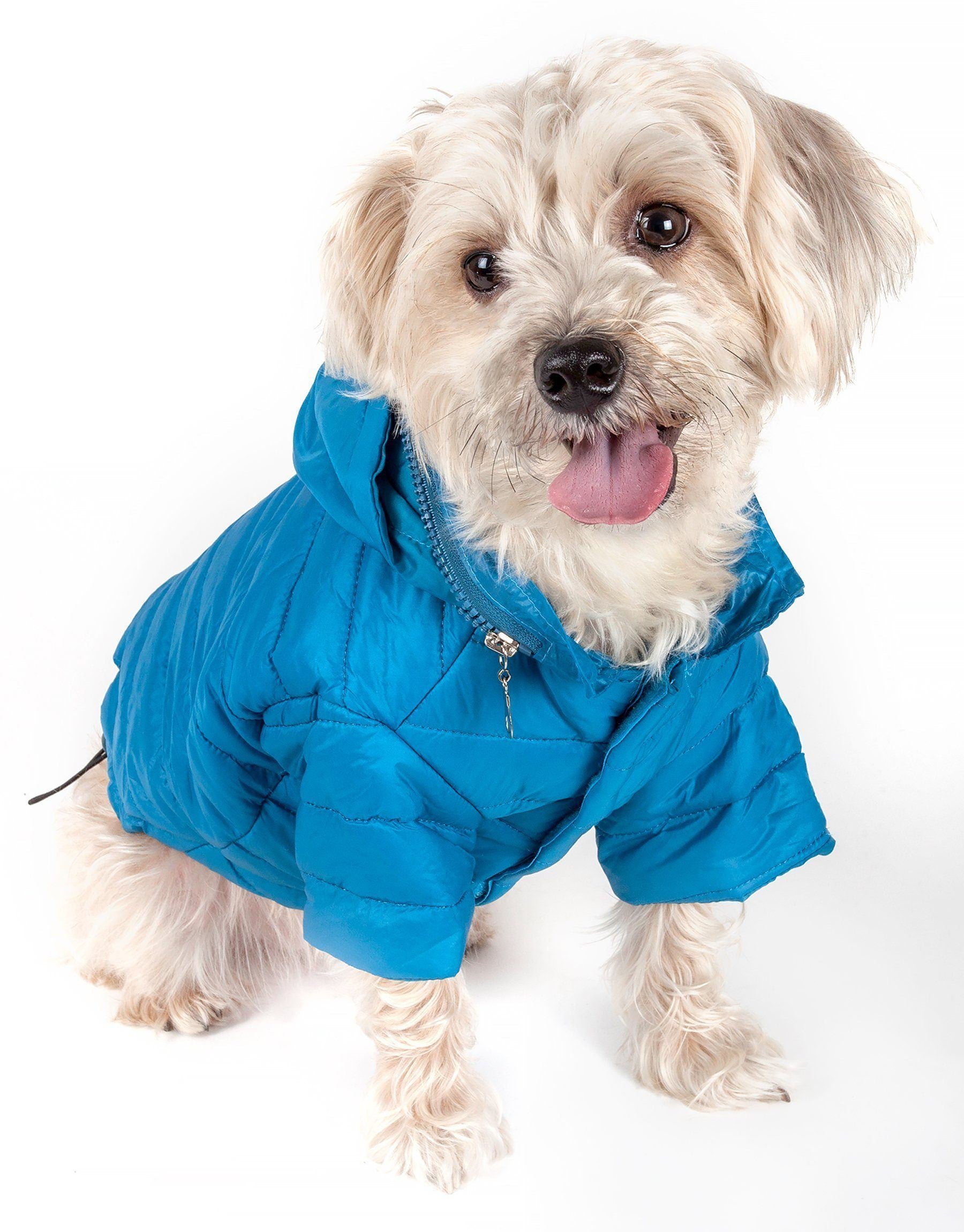Pet Life ® Lightweight Adjustable and Collapsible 'Sporty Avalanche' Dog Coat w/ Pop-out Zippered Hood - BIG FRENCHIES