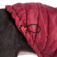 Pet Life ® Lightweight Adjustable and Collapsible 'Sporty Avalanche' Dog Coat w/ Pop-out Zippered Hood - BIG FRENCHIES