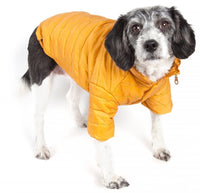 Pet Life ® Lightweight Adjustable and Collapsible 'Sporty Avalanche' Dog Coat w/ Pop-out Zippered Hood - BIG FRENCHIES